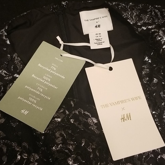 💕VAMPIRE'S WIFE x H&M💕 Silver Lace Mini Dress - Picture 17 of 17